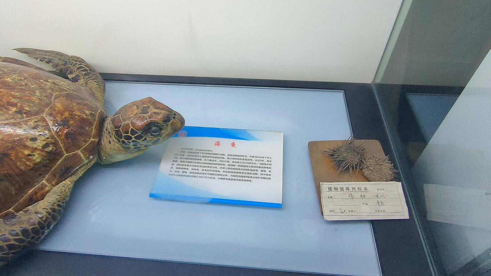 长安大学