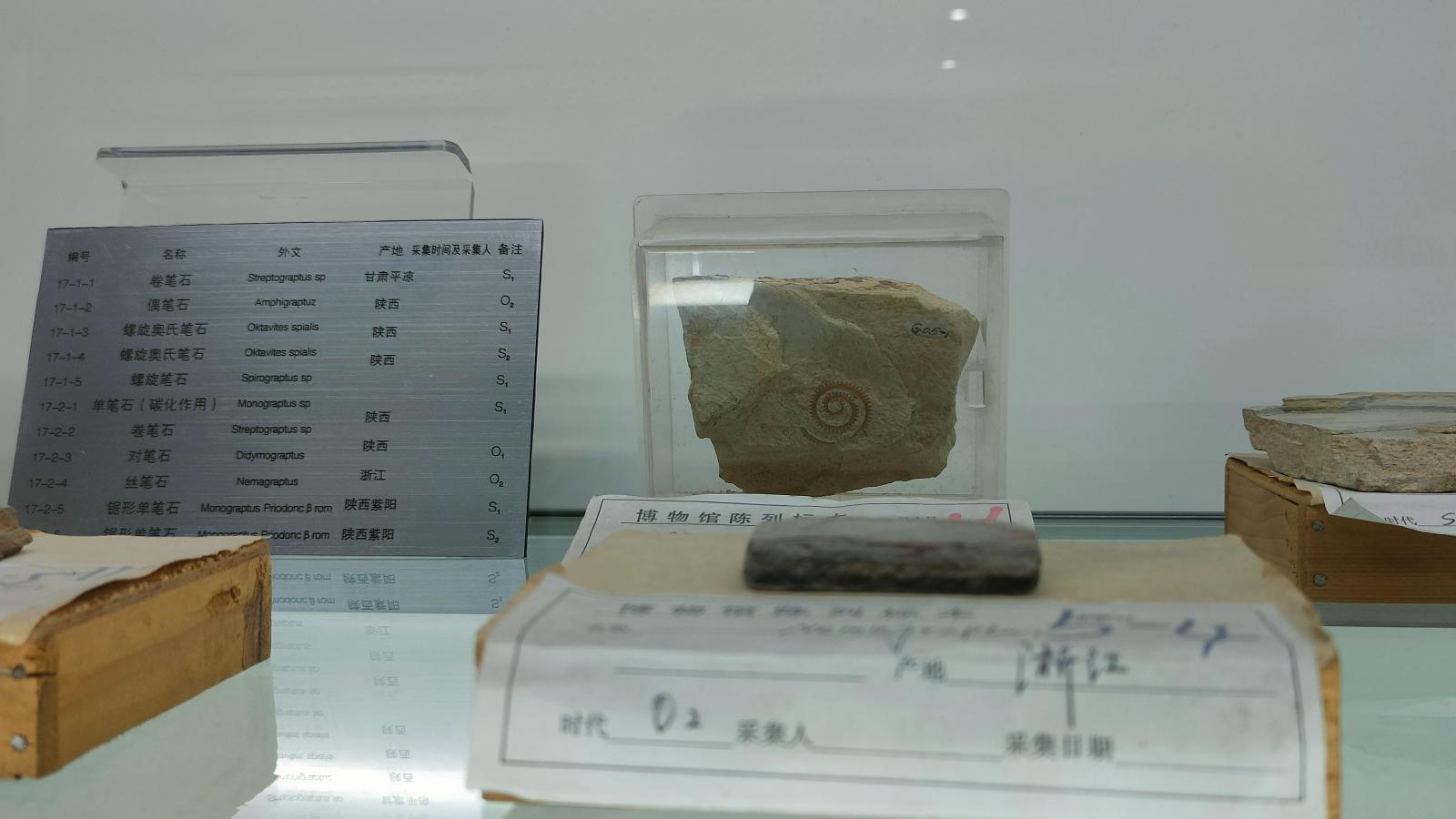 长安大学
