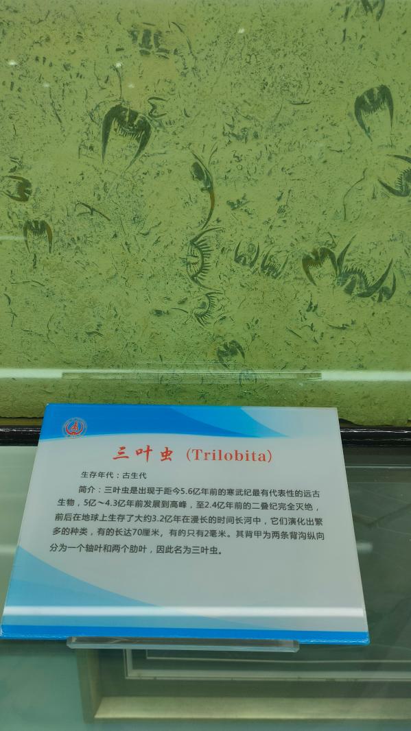 长安大学