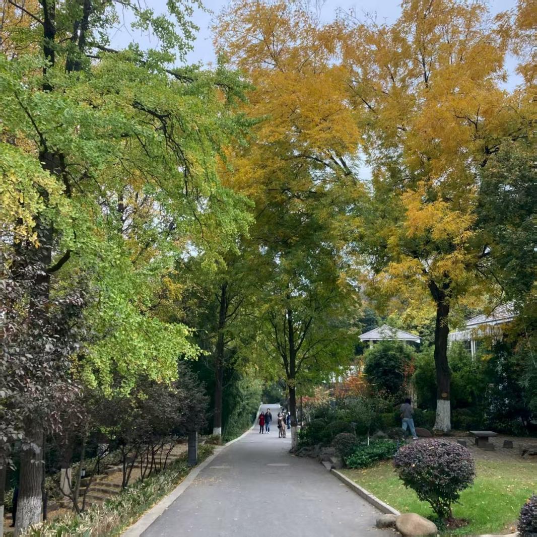 清凉山
