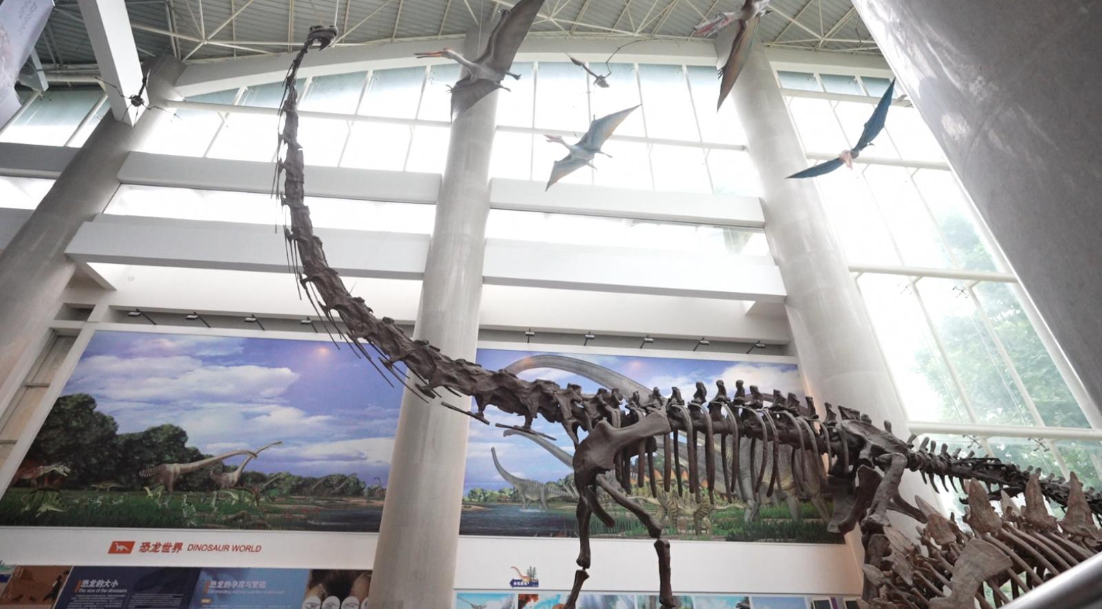 南京古生物博物馆