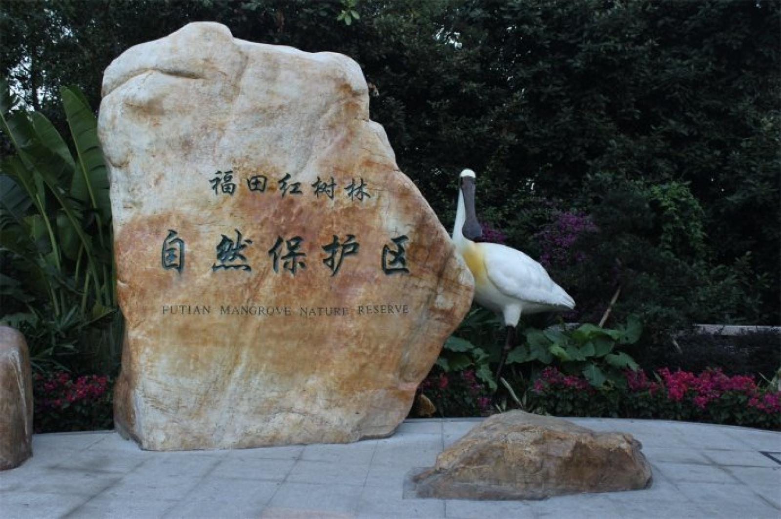 东门门诊部天桥夜景