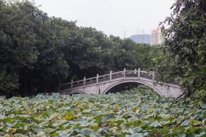 洪湖公园