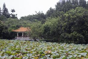 洪湖公园