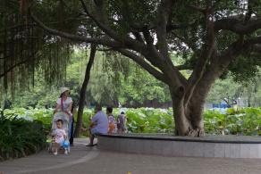 洪湖公园