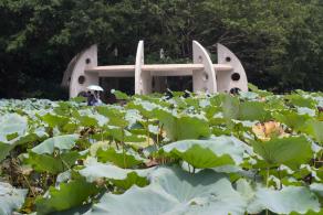 洪湖公园