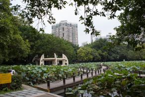 洪湖公园