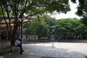 洪湖公园