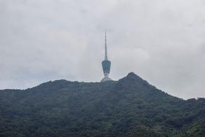 仙桐体育公园