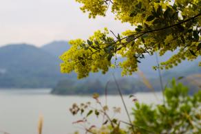 东湖绿道