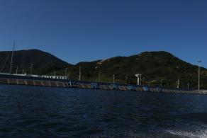 东家湾