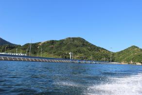 东家湾
