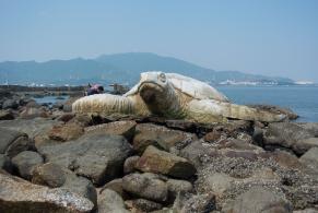 共青团深圳市委教育拓展基地