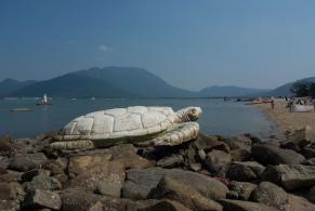 共青团深圳市委教育拓展基地