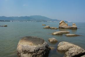 共青团深圳市委教育拓展基地
