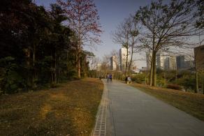 莲花山公园