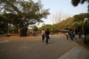 莲花山公园