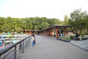 莲花山公园