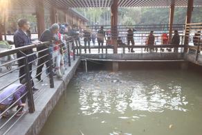 莲花山公园喂鱼