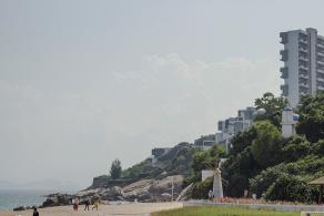 玫瑰海岸