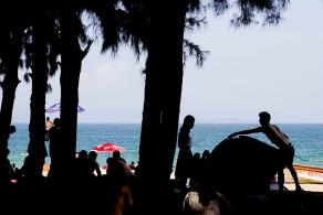 玫瑰海岸露营