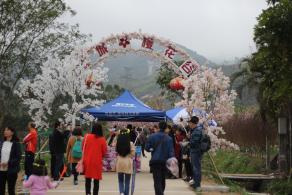 大鹏美丽乡村