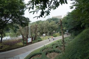 深圳罗湖人民公园