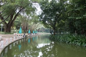 深圳罗湖人民公园钓鱼区