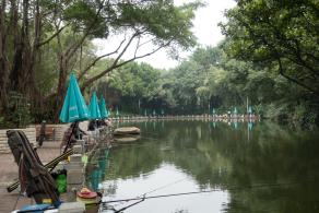 深圳罗湖人民公园钓鱼区