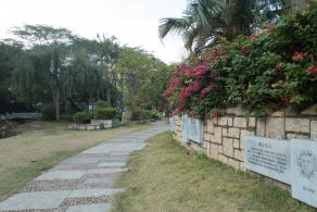 东和法治文化主题公园