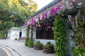 仙湖植物园