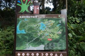 仙湖植物园