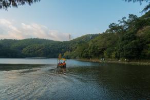 仙湖