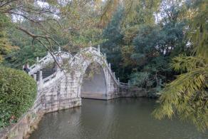 仙湖，桥