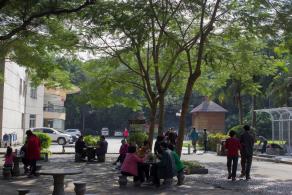 深圳罗湖东湖公园
