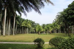 东湖公园草地