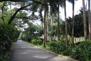 深圳罗湖东湖公园