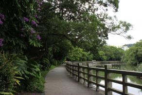 深圳罗湖东湖公园