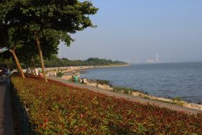 深圳湾公园（红树林公园）