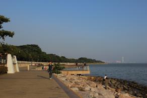 深圳湾公园（红树林公园）
