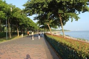 深圳湾公园（红树林公园）
