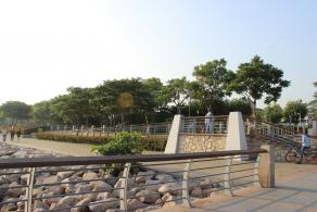 深圳湾公园（红树林公园）