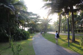 深圳湾公园（红树林公园）