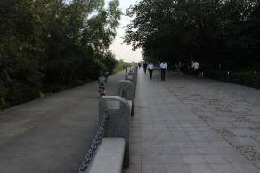 深圳湾公园（红树林公园）