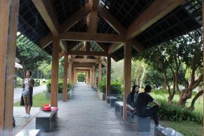 深圳湾公园（红树林公园）