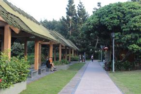 深圳湾公园（红树林公园）