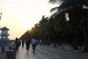 深圳湾公园（红树林公园）