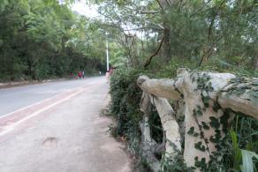绿道