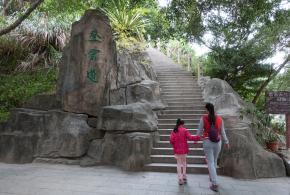 小梧桐登山道登云道