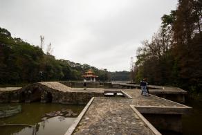 仙湖植物园